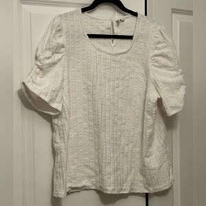 Cato Cream Textured Blouse with Short Sleeves
